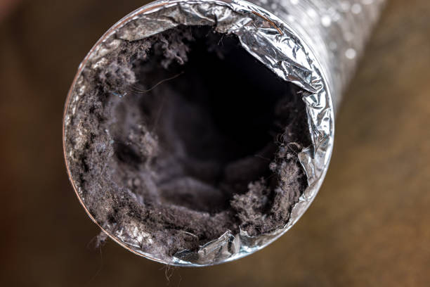 Best Affordable Duct Cleaning Services  in Rocky River, OH