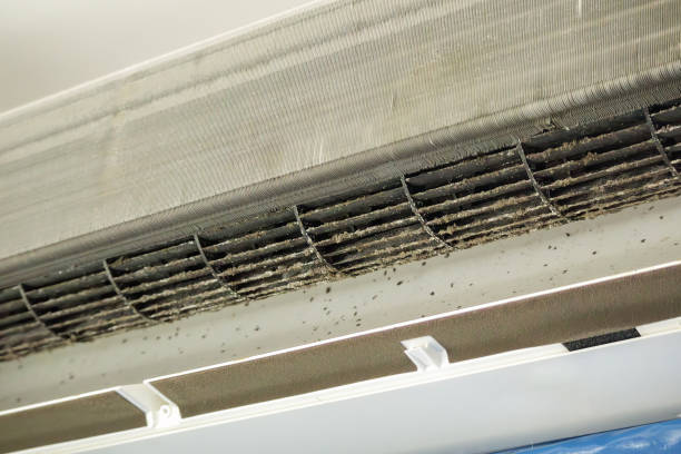 Best Professional Duct Cleaning Services  in Rocky River, OH