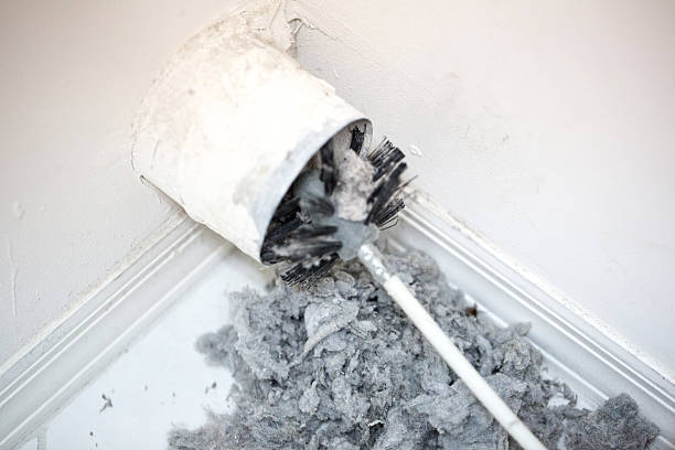 Best Emergency Air Duct Cleaning  in Rocky River, OH